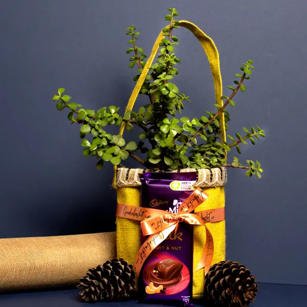 Lucky Jade in Jute Planner