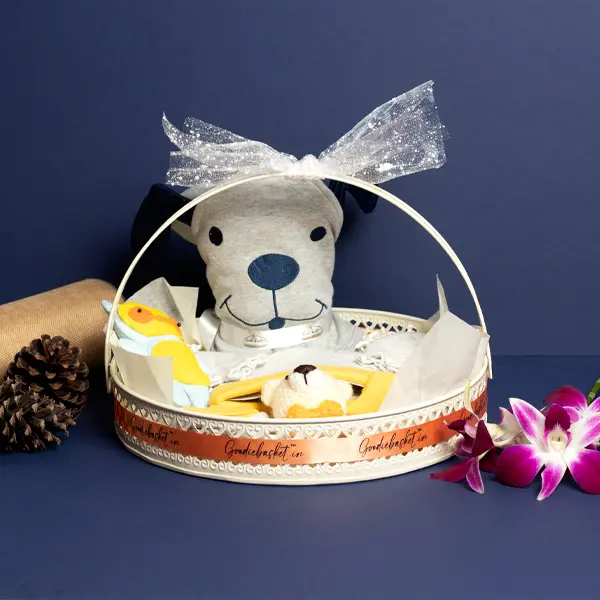 Newborn Basket - Unisex Colour Collection