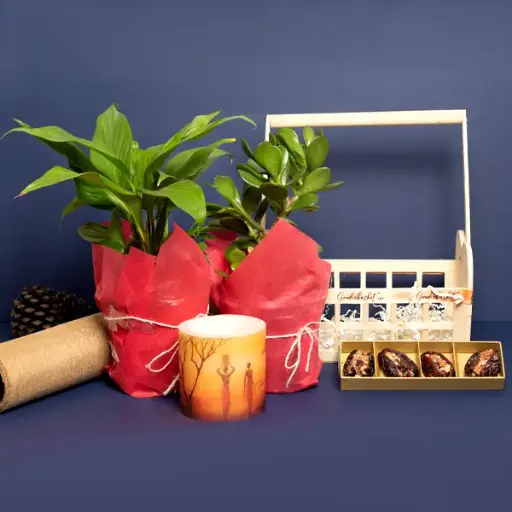 Goodluck and Air Purifier Basket