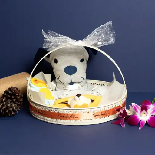 Newborn Basket - Unisex Colour Collection