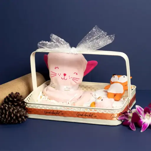 Baby Girl Newborn Basket